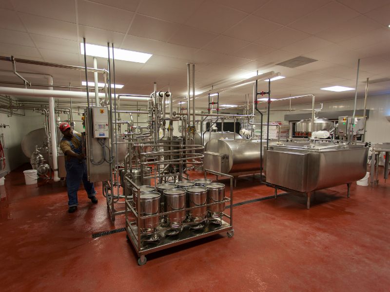 L’innovation écologique au service de l’industrie laitière : le traitement des eaux usées avec les micro-stations d’épuration